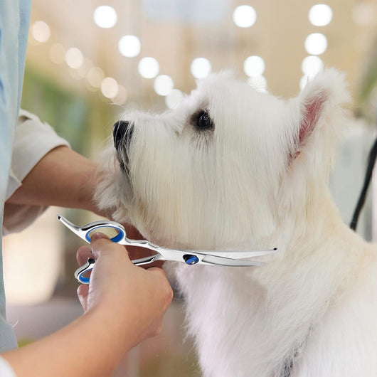 Curved Dog & Cat Grooming Scissors